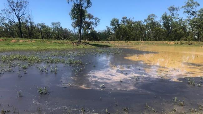 Coal dust in a dam on Bill Wyper’s Collinsville property in December 2022.