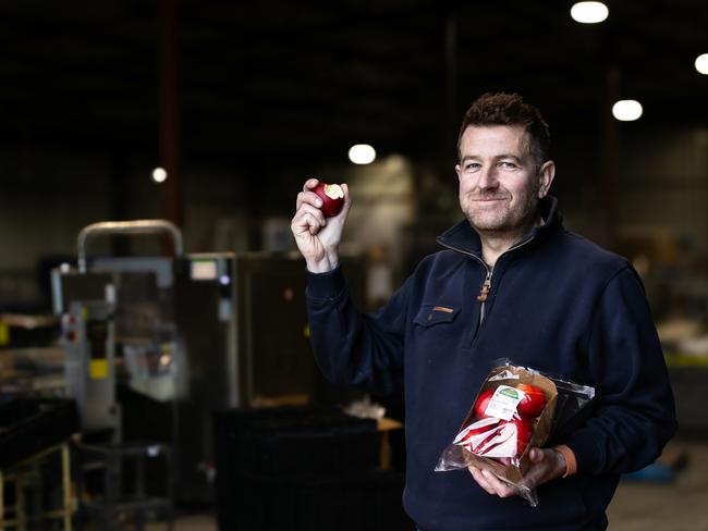 Malcolm Francis, of Esperance Bay Orchards, Esperance Bay, Tasmania. PHOTO: Tia Watson, TL Photography