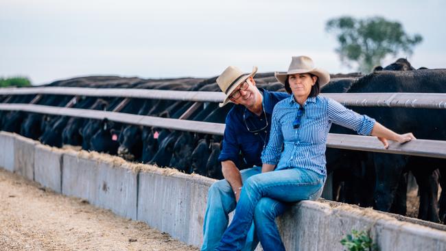 Reopening their feedlot after 20 years has proved an inspired move by the Shaws. Picture: Charlotte Allen