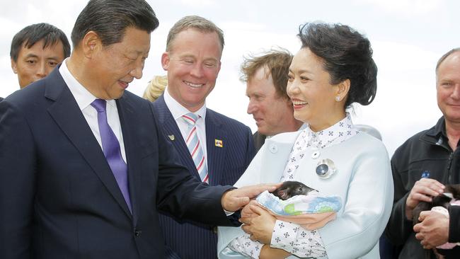 His Excellency Mr Xi Jinping, President of the People's Republic of China and Madame Peng Liyuan meet a baby Tasmanian Devil from Bonorong Wildlife Park, Government House, Hobart, Tasmania, Australia