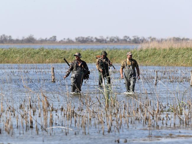 Duck hunting season opening, Lake Cullen, Kerang. Picture Yuri Kouzmin