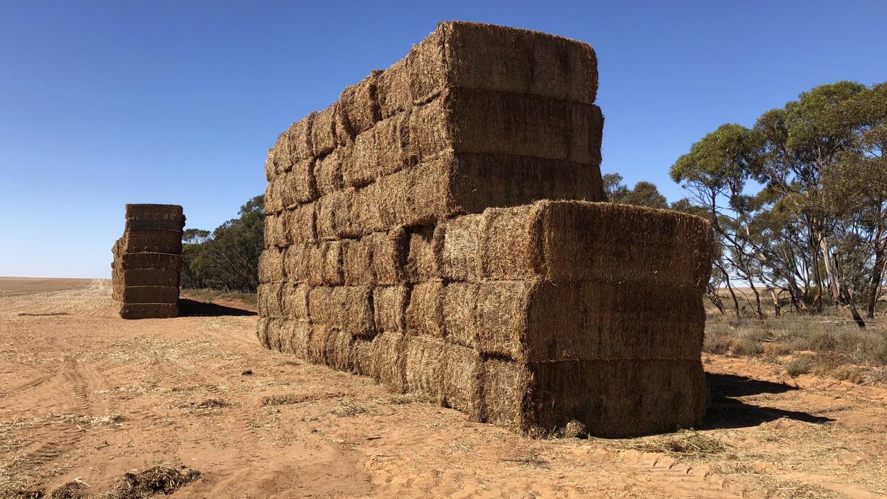 Rain threatens quality of vetch