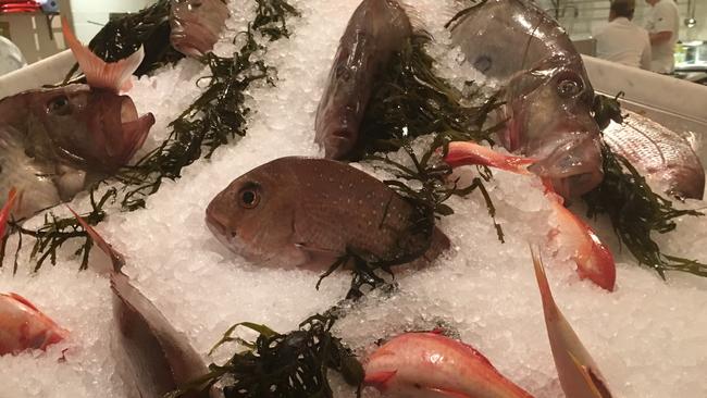 Seafood display over ice.