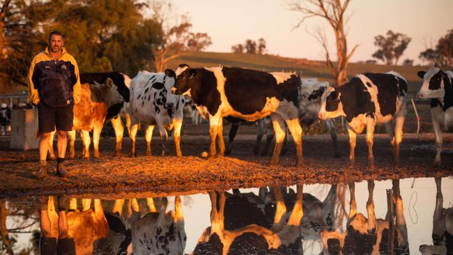 Australian dairy has endured “one of the toughest seasons in living memory”, said chairman of Dairy Australia, Jeff Odgers. Cowra farmer Ian Hindmarsh, pictured’, is one of the many business owners who have been affected by drought Picture: Renee Nowytarger