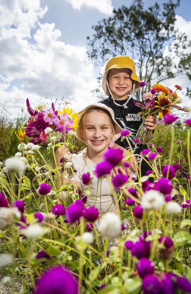 Violet and Theo Murray in the blooms as Karinya in the Valley host a pick your own flower session, Saturday, January 4, 2025. Picture: Kevin Farmer