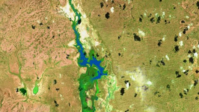 Sentinel satellite image showing the Warrego River's flow being diverted onto a man-made floodplain.