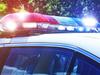 Man allegedly strangled, bit partner, threatened to set self alight