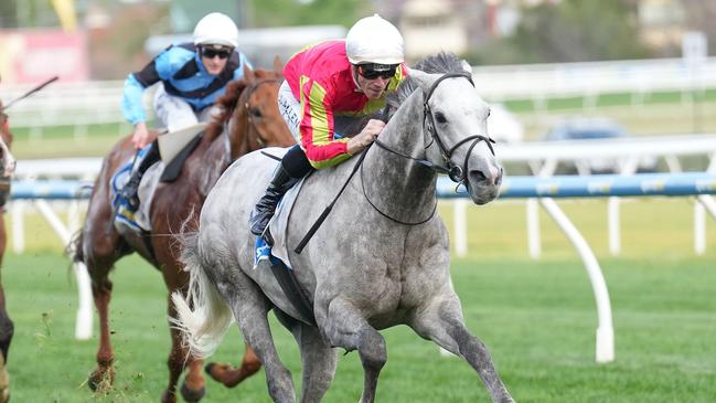 Kingswood will head towards the Five Diamonds in Sydney after Saturday’s JRA Cup at The Valley on Saturday. Picture: Scott Barbour/Racing Photos via Getty Images