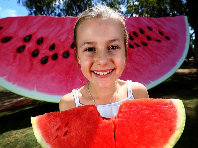 Tilly Hart, 10, from Chinchilla gets a look at the new attraction for the very first time. Picture: Adam Head