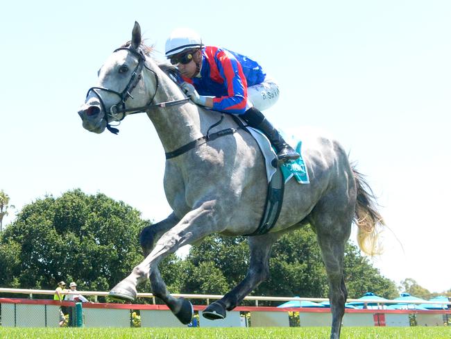 Sea What I See (IRE) ridden by Blake Shinn wins the Clermont Veterinary Surgery Maiden Plate at Bendigo Racecourse on February 11, 2024 in Bendigo, Australia. (Photo by Brett Holburt/Racing Photos)