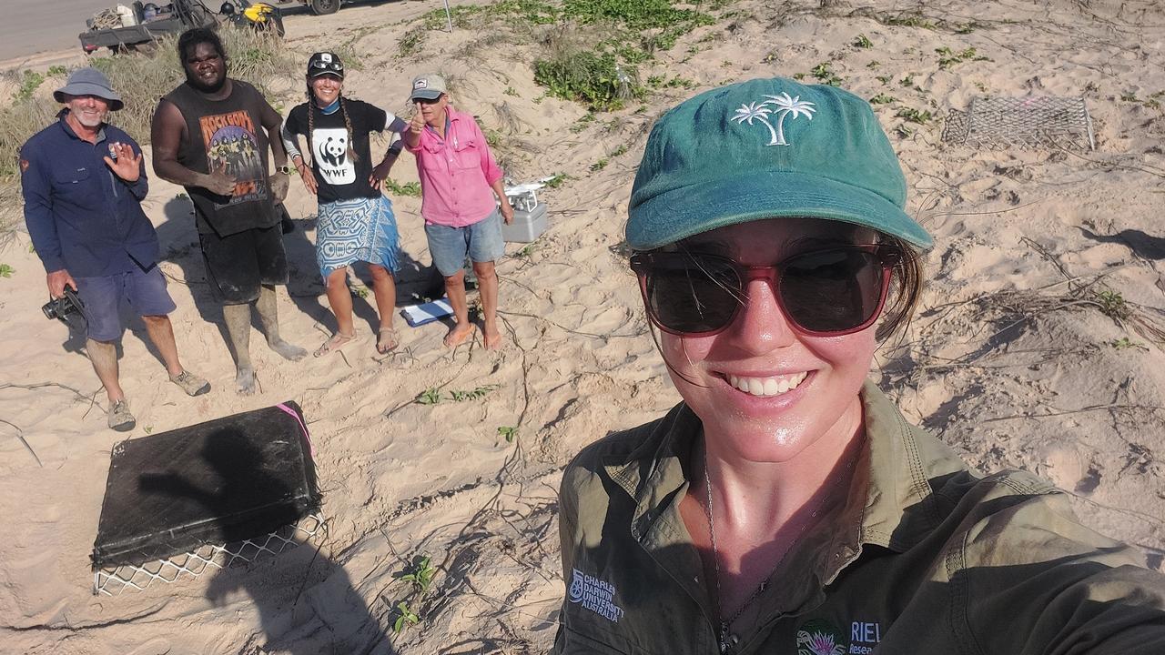 Watch: Rangers, scientists team up to save our green turtles