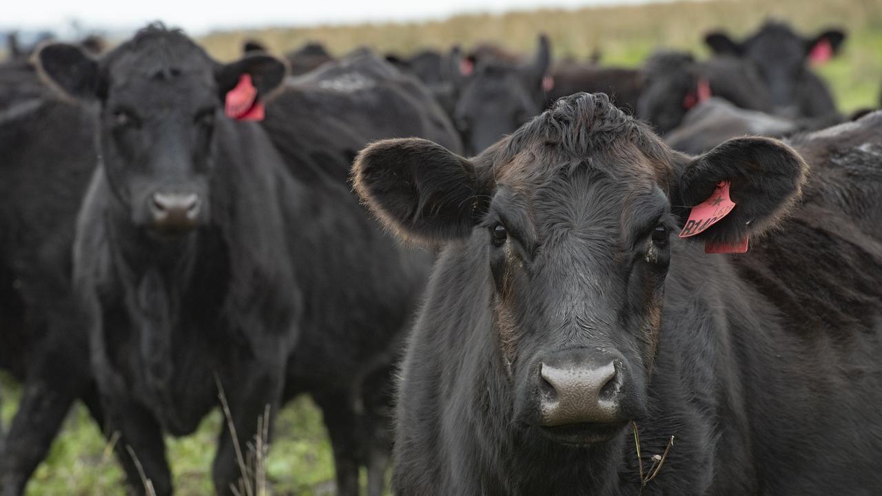 Good seasons keep national herd growth on the rise