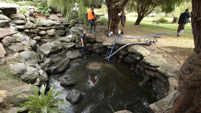 The Veale Gardens pond where Helen Dansie's body was found. Picture: Tait Schmaal