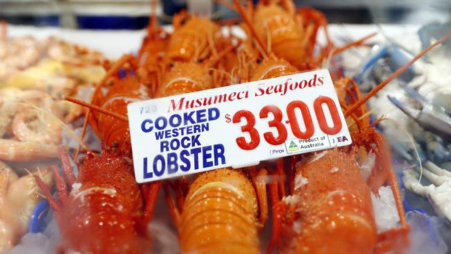 There are going to be plenty of lobsters on the table this Christmas.. Picture: Sam Ruttyn