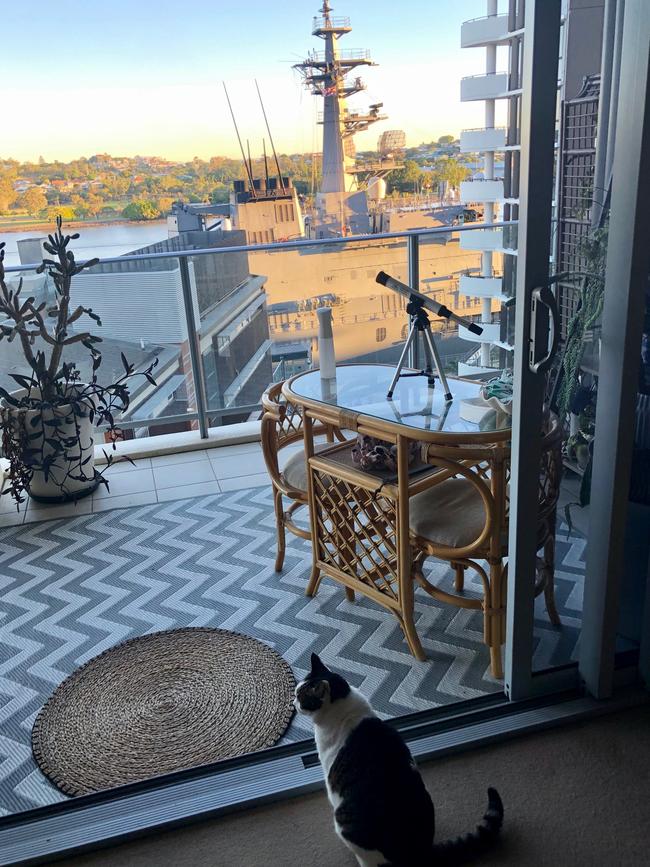 Peta Berry’s cat 13-year-old cat, Rosie watches Japanese warship JS Kunisaki after its arrival to the Port of Brisbane earlier this week. It is one of many ships arriving this month to participate in Exercise Talisman Sabre 2019. Picture: Peta Berry