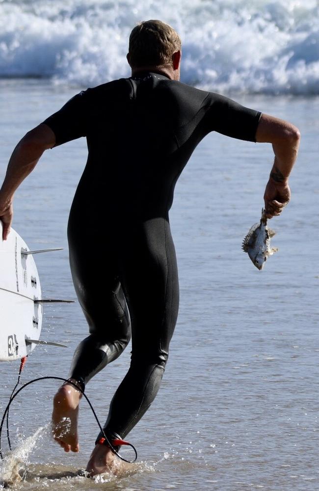 Champion surfer Mick Fanning during his fish rescue this morning. Photo: Leisa Oakes @natures_jewel