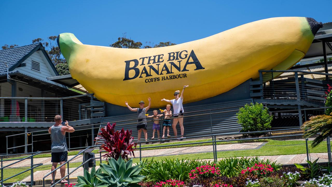 Big Banana Announces Major Expansion Plans Daily Telegraph