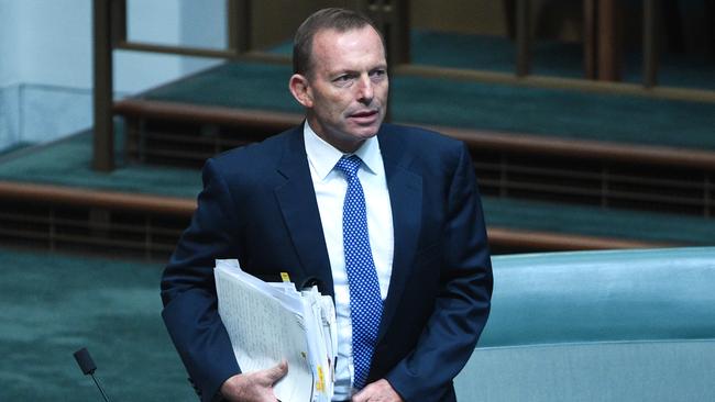 Former prime minister Tony Abbott is creating “chaos and division at the heart of the Turnbull Government”, according to Opposition Leader Bill Shorten.