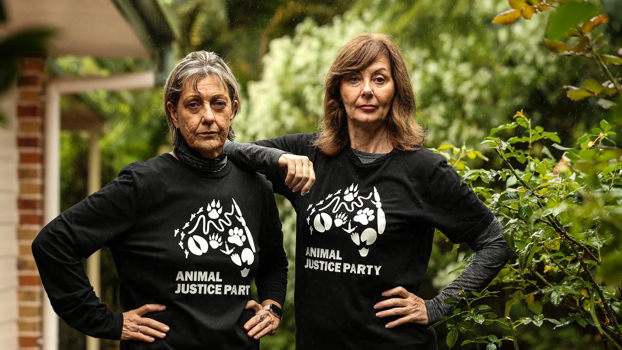 Former Animal Justice Party candidates Suzanne Clarke (Rankin) and Linda McCarthy (Forde) resigned after the AJP said they had to make a public apology and undergo gender training after Linda shared three articles on her private Facebook page. Picture: Zak Simmonds