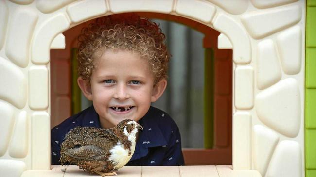 SMASHING SUCCESS: Egg entrepreneur Xavier Mollenhagen with Henry the king quail. Picture: Mike Knott BUN200319EGG1