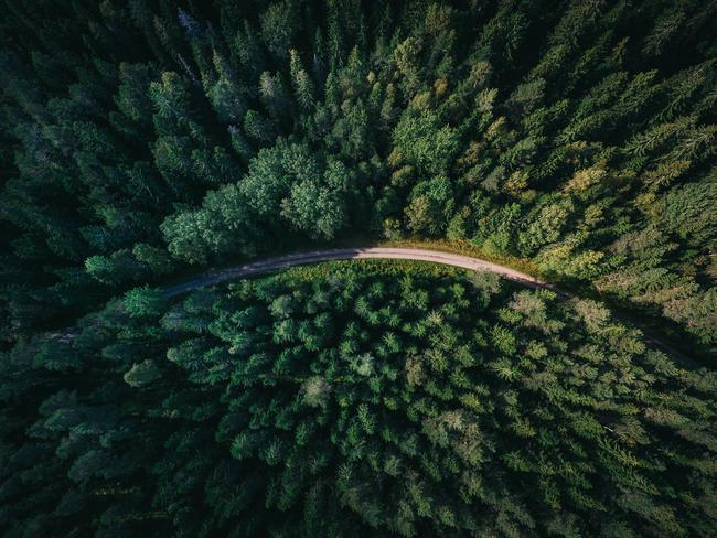 Road trips have become a favourite for families through Covid-19. Picture: Geran De Klerk via Unsplash