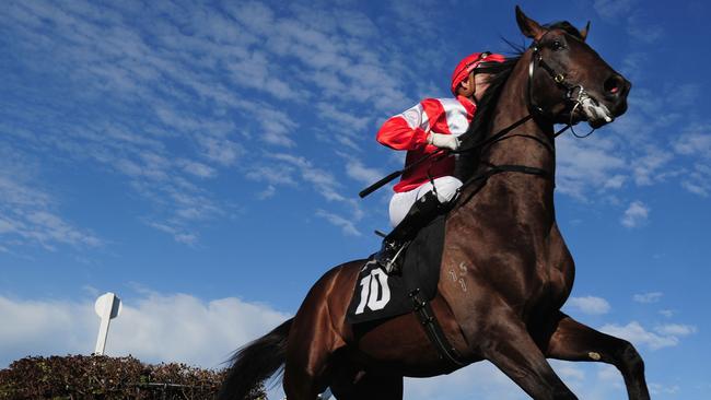 Mongolian Khan will appreciate the step up to 1800m on Saturday.