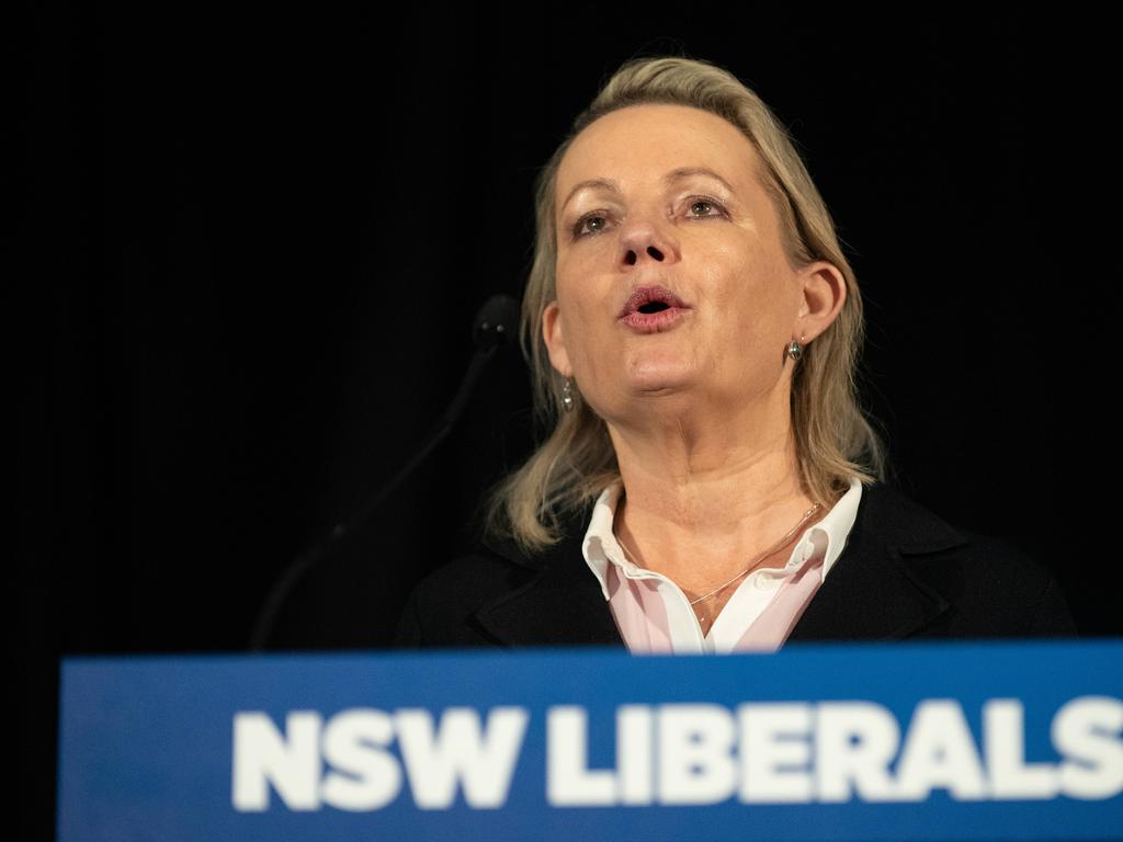 Deputy Liberal leader Sussan Ley has said the jobs summit will be a talkfest. Picture: NCA NewsWire / Flavio Brancaleone