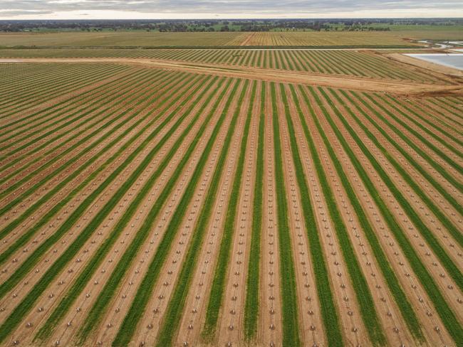 Global warming has actually been brilliant for our farmers.