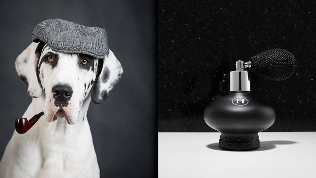 Black Diamond ... Paw Homme.