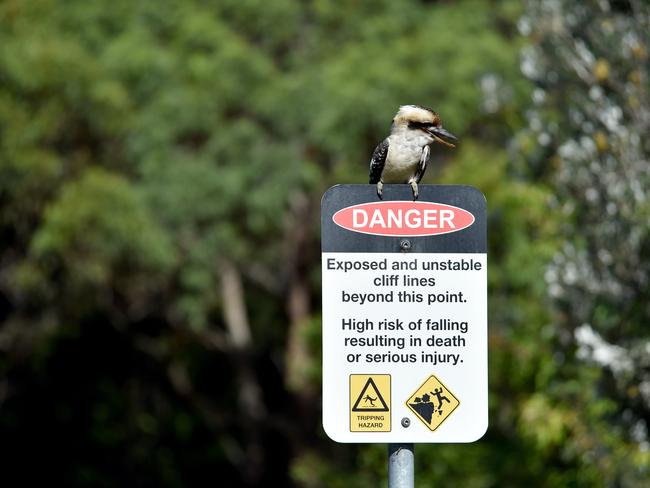 A warning sign near the track to Winney Bay at Copacabana. Picture: Troy Snook