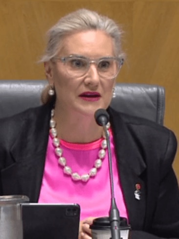Senator Hollie Hughes said it was "ironic" Optus would provide updates on social media, when most customers did not have access to the internet. Picture: Sky News