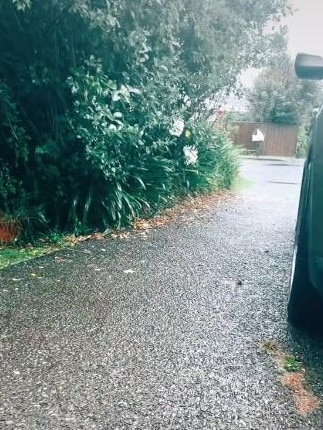 Sasha’s driveway. Picture: TikTok