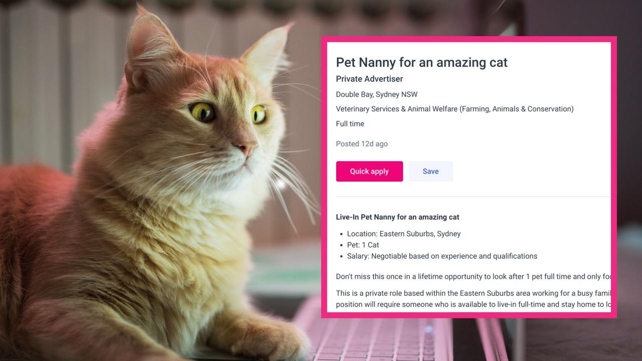 An affluent family are looking for a full-time live-in nanny for their … cat