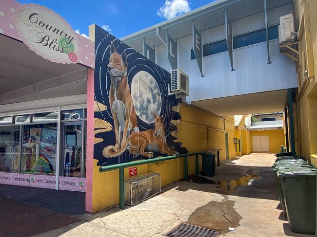 ‘Smelly alley’, which was cleaned of faeces before Albo’s visit. Picture: JPL/Media Mode/news.com.au