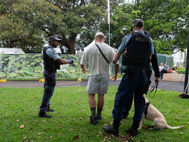 Police working with a drugs dog at Field Day Music Festival in Sydney on January 1. Picture: Flavio Brancaleone