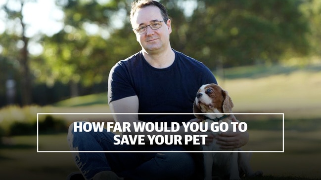 How far would you go to save your pet