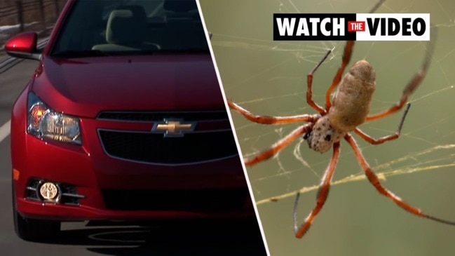 Mystery spiders and passenger brakes?! The weirdest car recalls ever