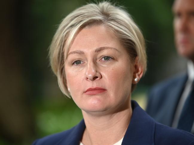 Amanda CammMinister for Police & Minister for the Prevention of Domestic and Family ViolenceMinister for the Prevention of Domestic and Family Violence Amanda Camm and Minister for Police Dan Purdie hold a press conference. Friday April 4, 2025. Picture, John Gass