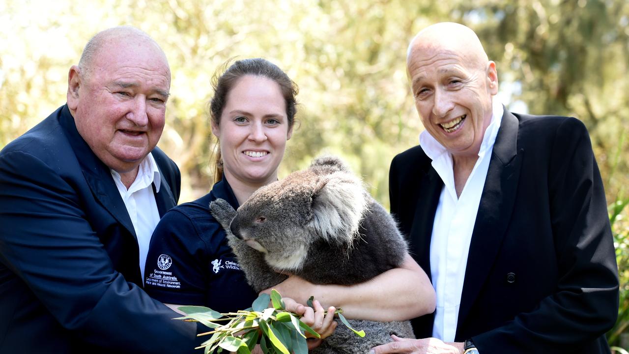 Cleland Koala keeper Ashleigh Hunter with koala 'Isaac' and Linsday Fox, on the left, and Allan Zeman, on the right. Picture: Tricia Watkinson.