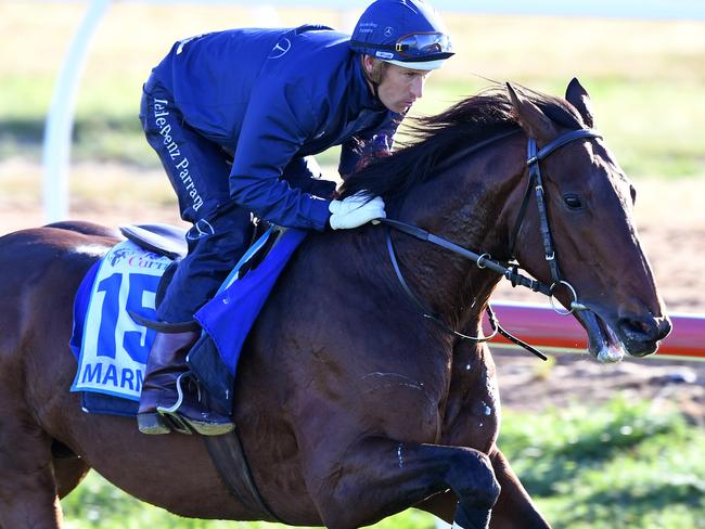 Marmelo might be the best value runner in the Caulfield Cup, says form expert Matt Welsh. Picture: AAP