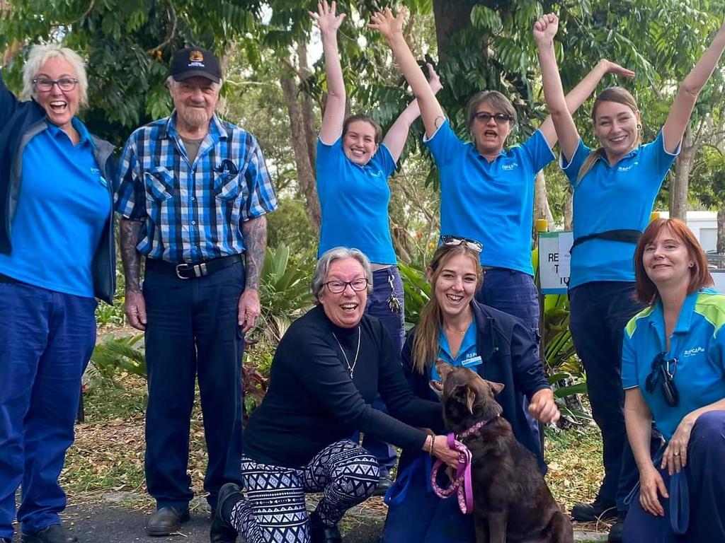 The Coffs Harbour RSPCA team were thrilled when Lagenta found her furever home.