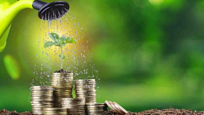 Green fintech is on the rise. Picture via Getty Images