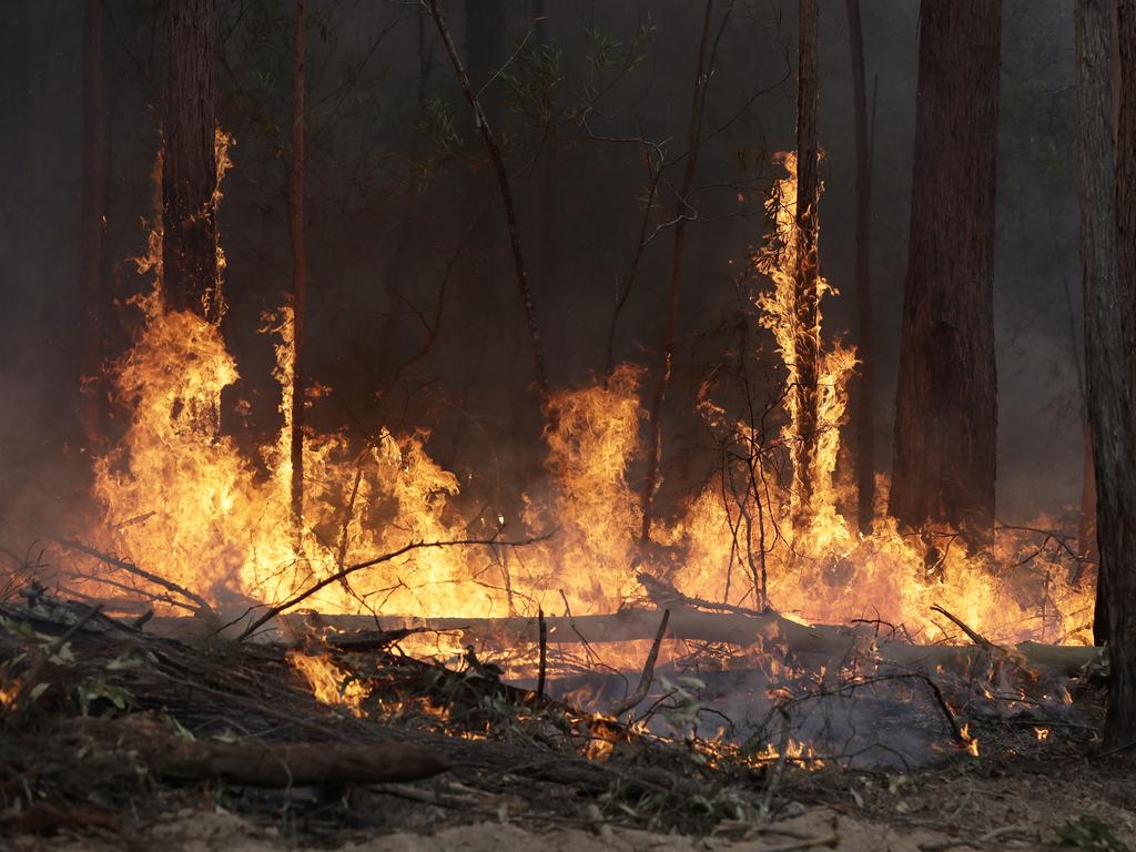 News Corp will donate $5 million to bushfire relief. Picture: Rick Rycroft