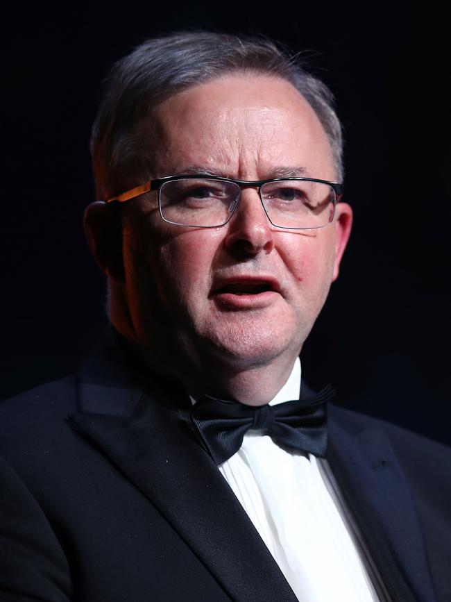 Anthony Albanese presents the Special Humanitarian award.