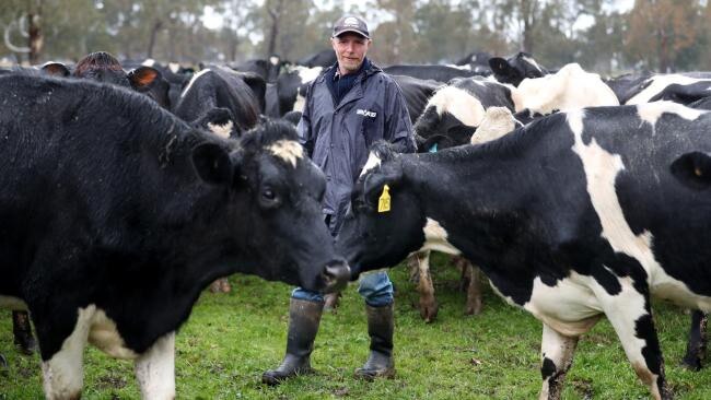 Victorian dairy farmer Rob Schlos supplies milk to Fonterra. Pic: David Geraghty