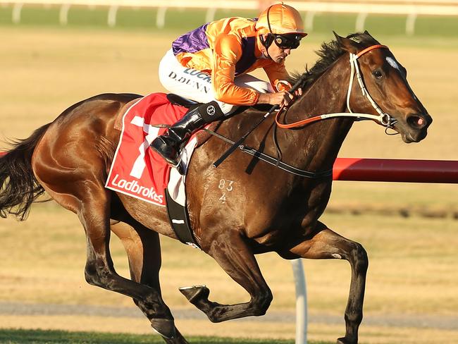 Silent Roar has Michael Manley’s seal of approval.