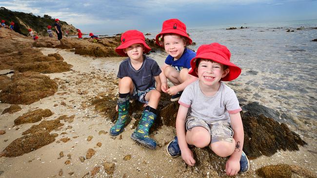 Hudson, Harriet and Charlie enjoy exploring the rock pools. Picture: Nicki Connolly