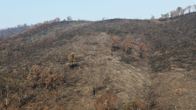 A burnt hillside beside the Tambo river and the Great Alpine road in the Victorian high country. Picture: AAP