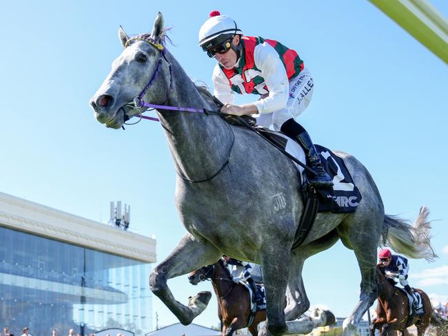 Statuario, ridden by John Allen, wins Galilee Series Final at Caulfield. Picture: George Sal/Racing Photos via Getty Images