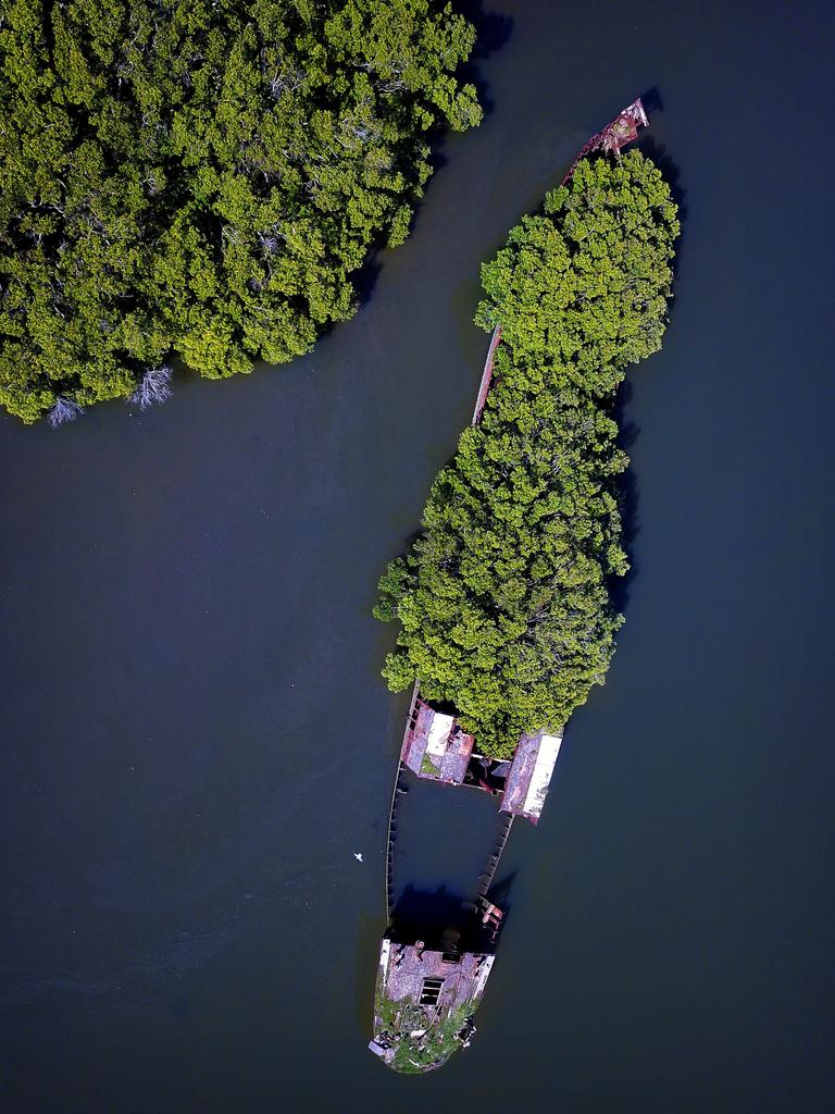 Shipwrecks in Homebush Bay. Picture: Toby Zerna